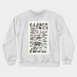 Mammalia by Oliver Goldsmith Crewneck Sweatshirt